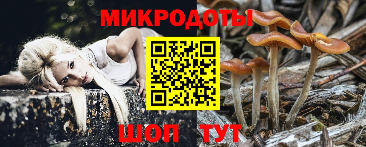 Галлюциногенные грибы Magic Shrooms Каменск-Уральский